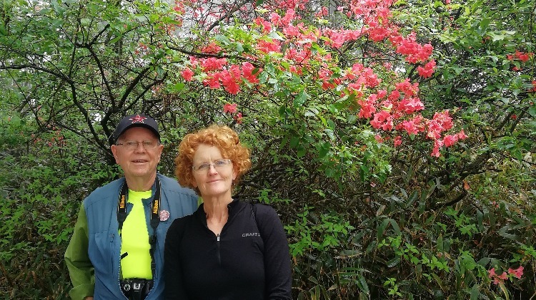 Spring Flowers on the Yellow Mountains