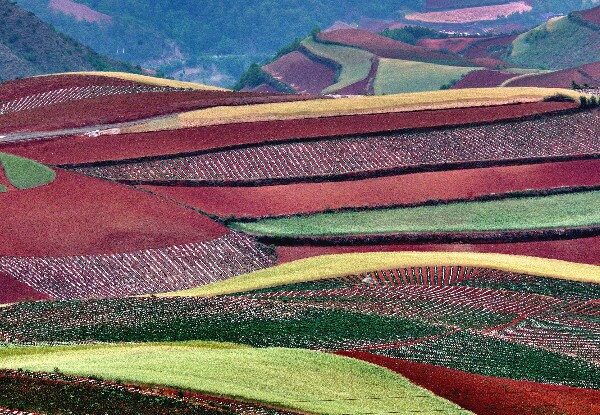 Dongchuan Red Land