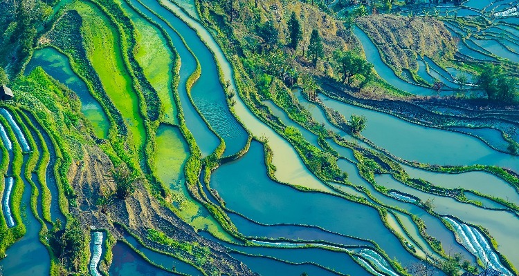 Yuanyang Terrace Field