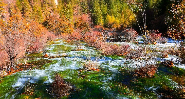 The Fall Colors of Jiuzhaigou Alley