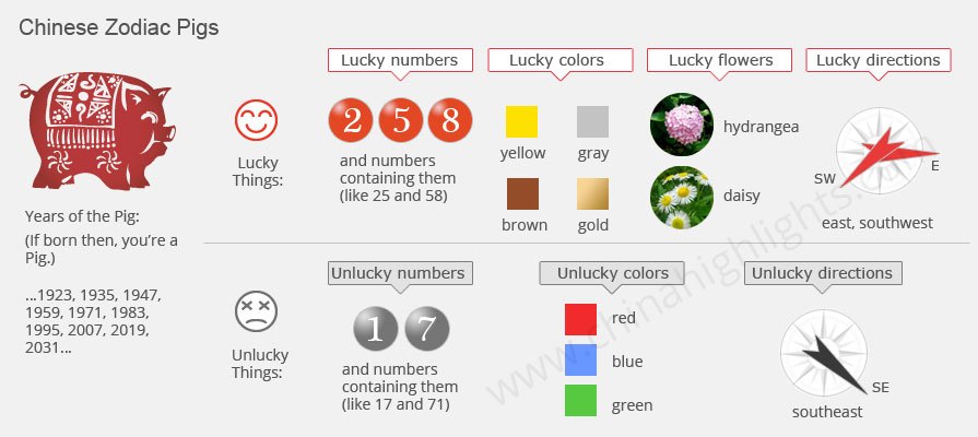The Information for the Chinese Zodiac Pig