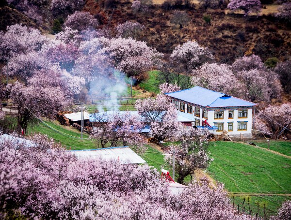 Nyingchi