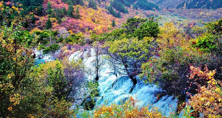 九寨溝のベストシーズ-色どりな秋