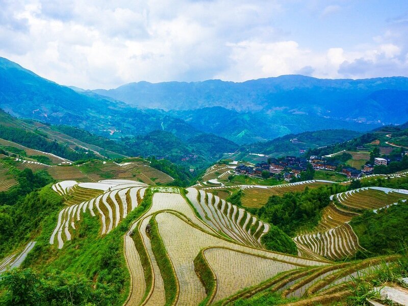 Risaie a terrazze Longji
