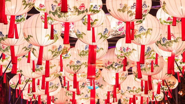 Chinese Lantern Festival