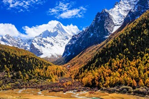 Daocheng
