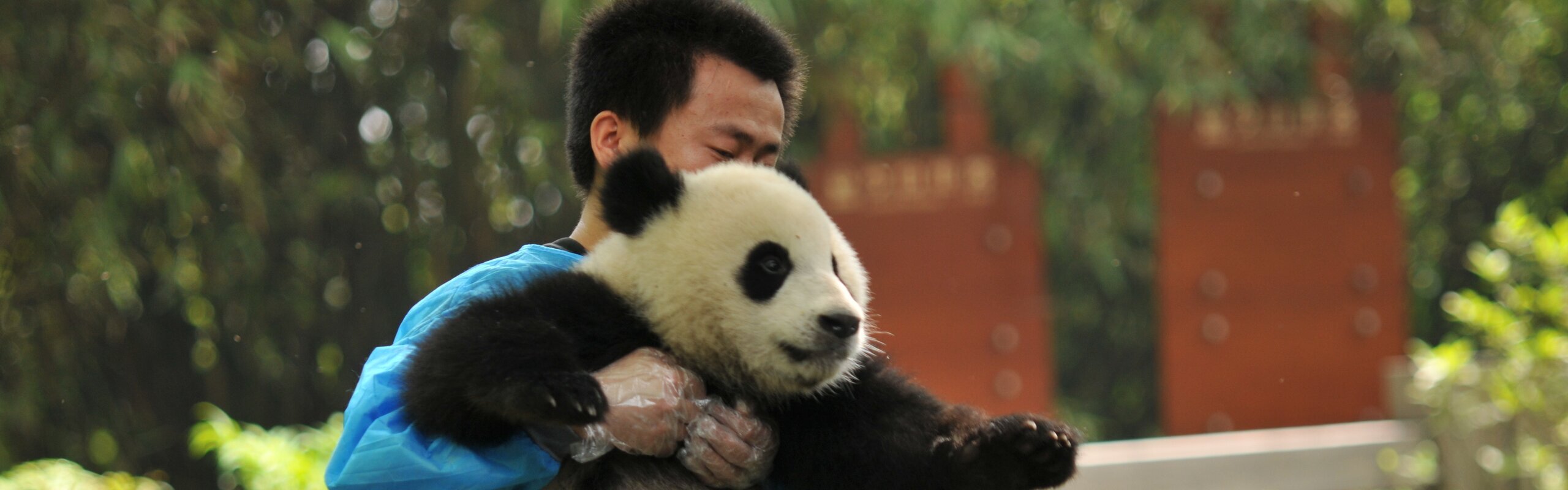 6-Day Chengdu City and Nature Explorer Tour