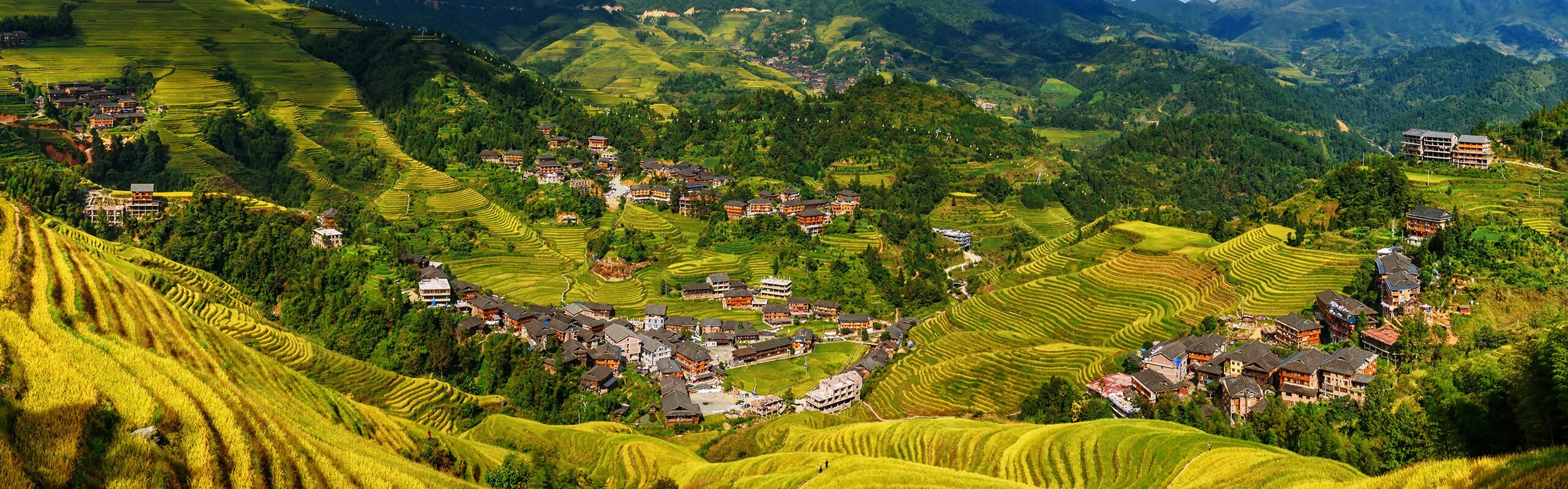 Rizières en terrasses de Longji