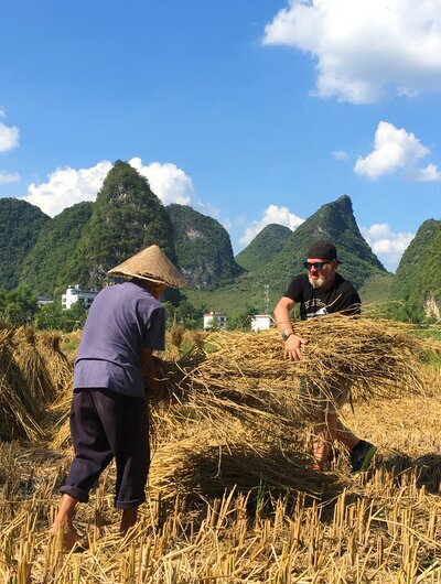 Expérience de travail agricole