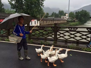 Local people of Bishan