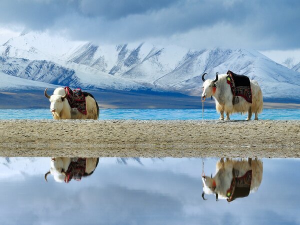 Lago Yamdrok