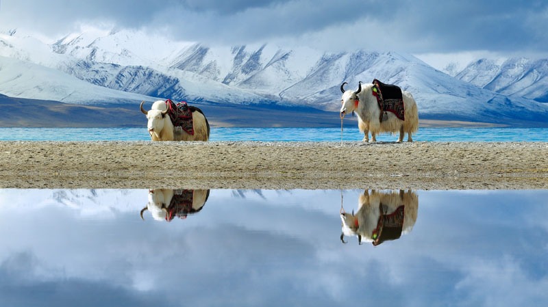 Lhasa to Shigatse - Fantastic Scenery  