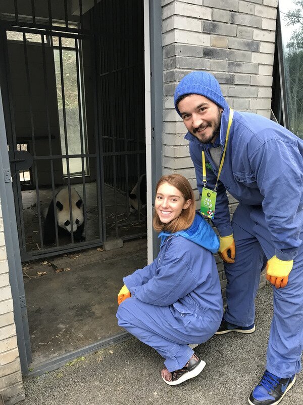 Esperienza da volontario nella base dei panda