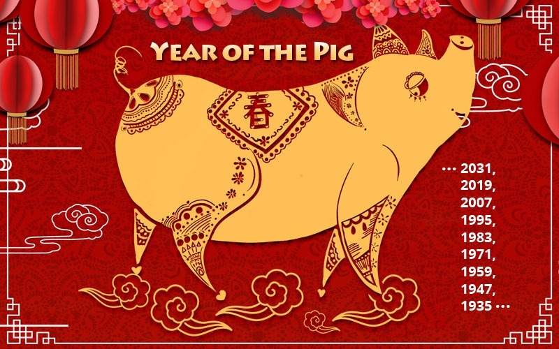 Year of the Pig Horoscope 2024, Personality, Lucky Color