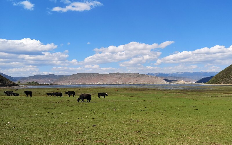 Hohhot Weather in August
