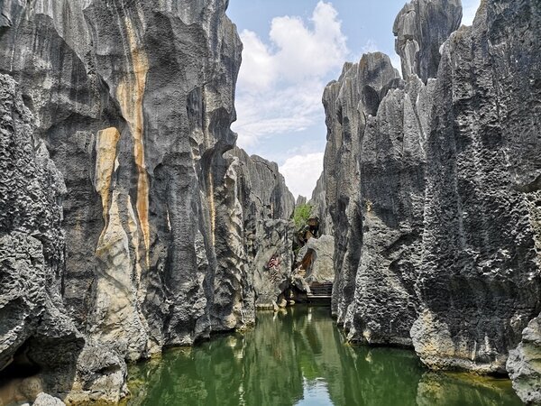 Foresta di pietra di Naigu nello Yunnan