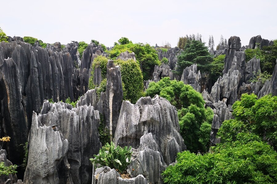 Forêt de Pierres de Shilin
