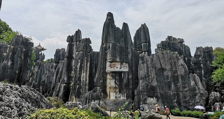 The Greater Stone Forest