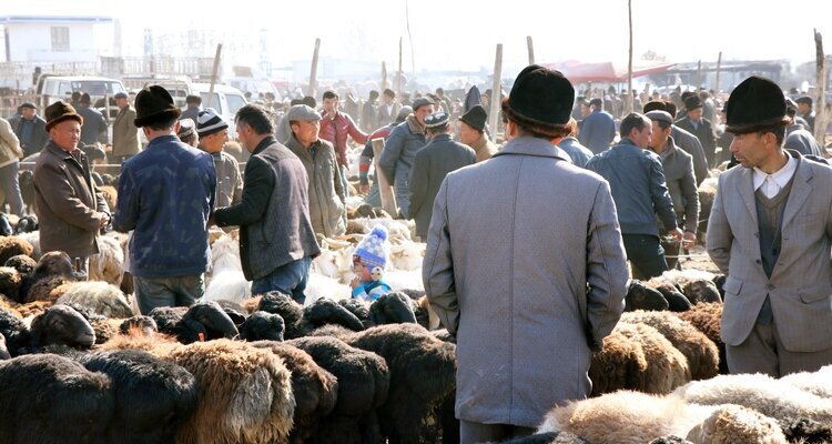 カシュガルの動物バザール