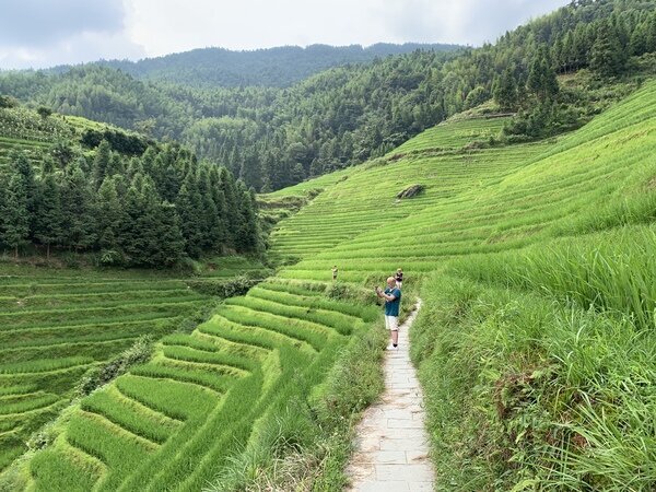 Les rizières en terrasses de Longji