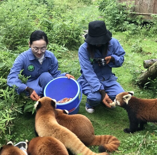 Fauna selvatica e natura