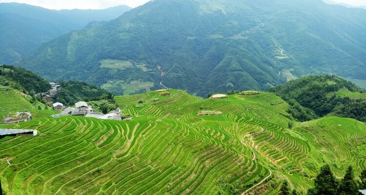 Longji Terraced Field