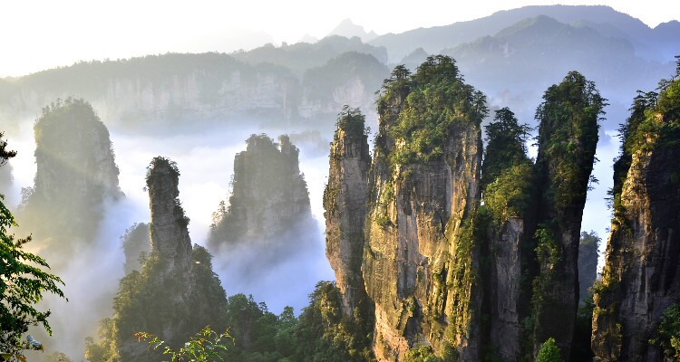 Peaks in Zhangjiajie National Park