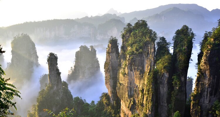 Yuanjiajie Hallelujah Mountain under the soft sunlight, Zhangjiajie National Forest Park, Hunan Province, China