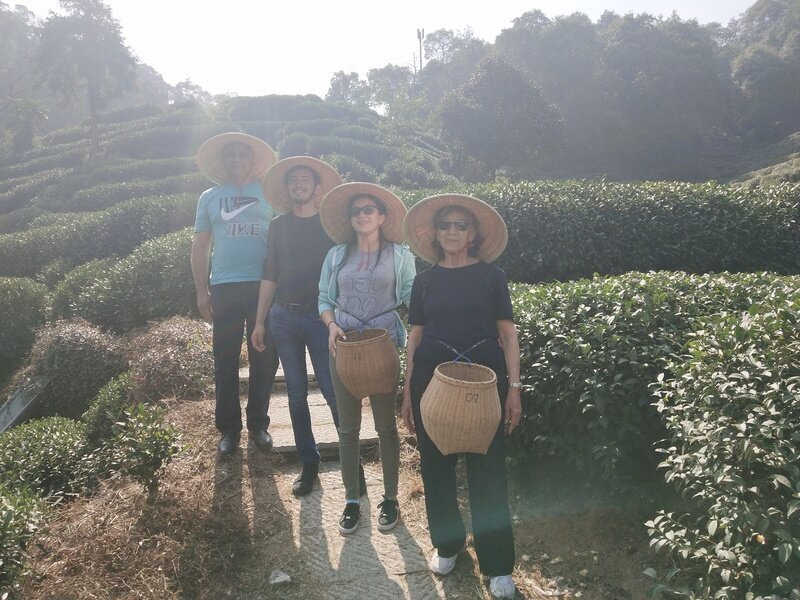 Villaggio del tè Meijiawu