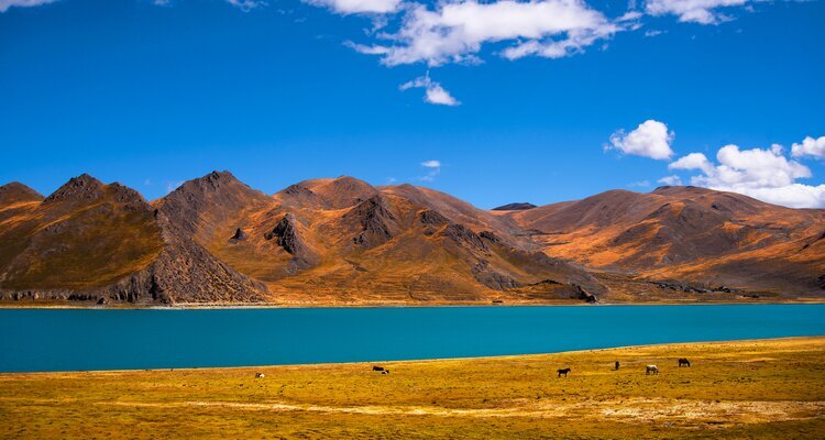 Lake Yamdrok in autumn
