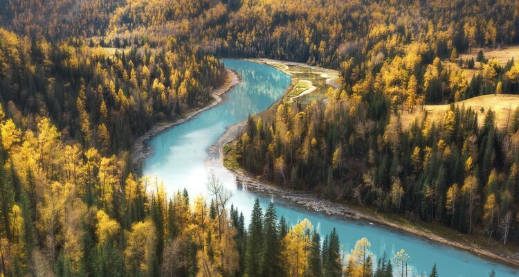 カナスの秋景色