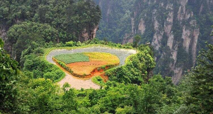 Aerial Farmland in Zhangjiajie Forest Park