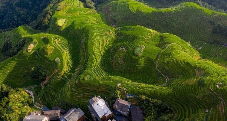 Terrazas de arroz de Longji