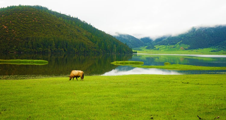 Potatso National Park