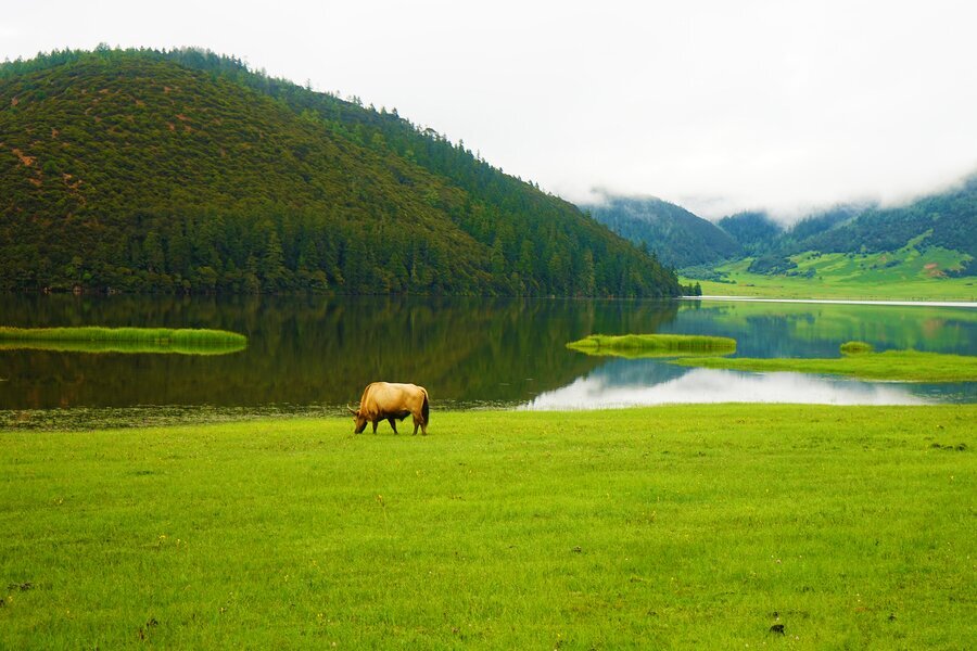 Parc national de Potatso