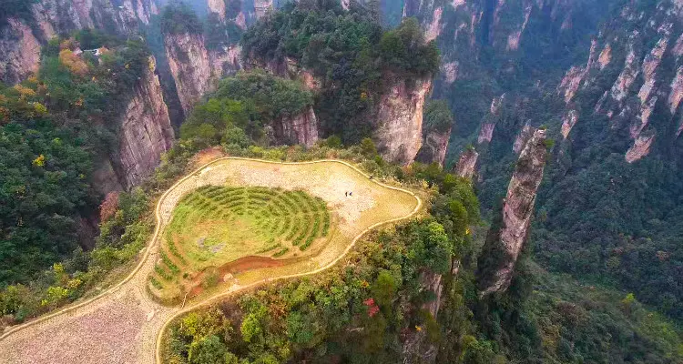 Sky Field Garden in Zhangjiajie