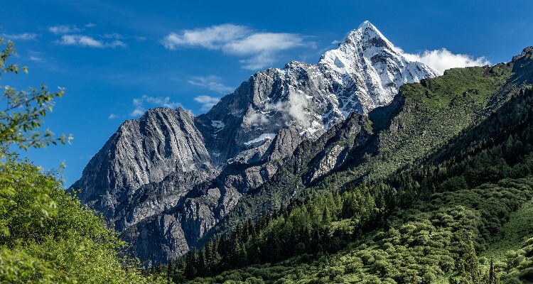 snow mountains and forest