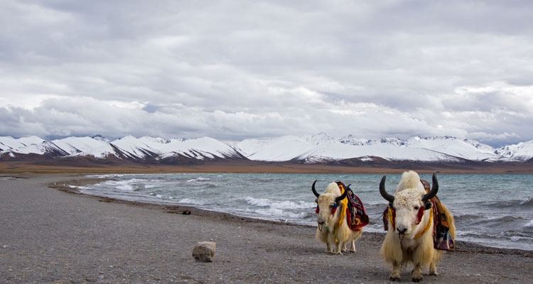ナムツォ湖（納木錯）