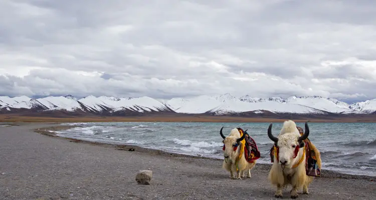 ナムツォ湖（納木錯）