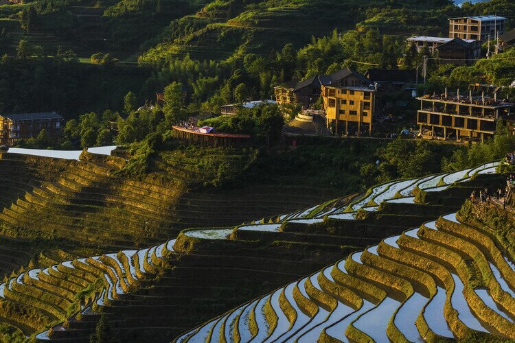 Le risaie a terrazze di Longji