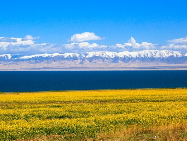 中国最大の塩湖・青海湖