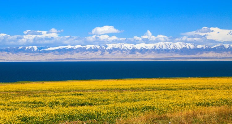 Qinghai Lake