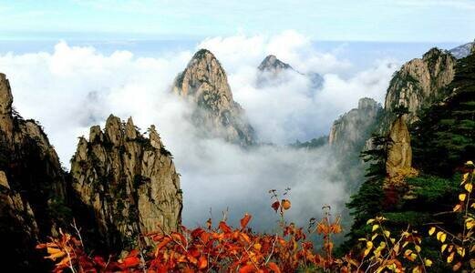 Tout près des pandas