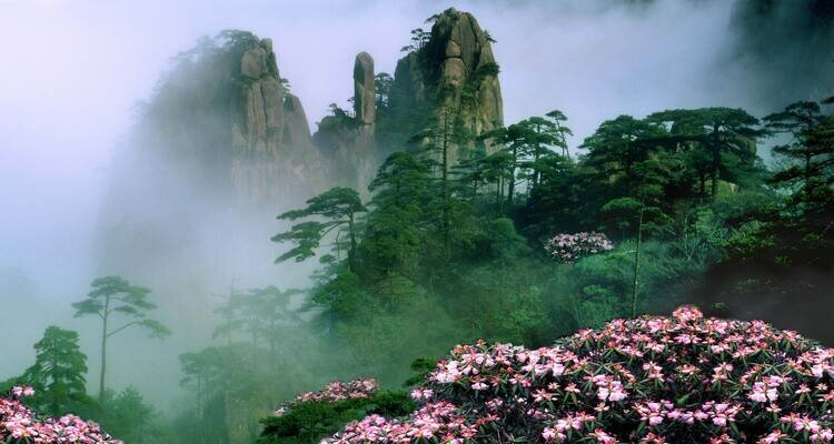 the cloud sea of the Yellow Mountains