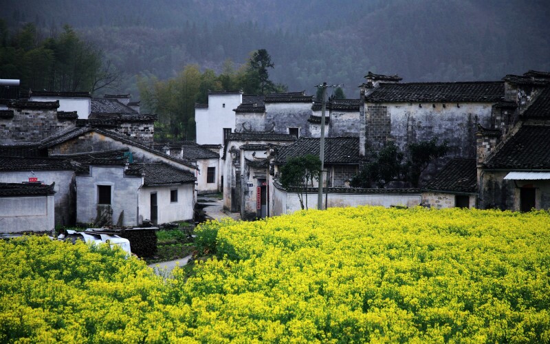 Anhui Travel Guide - How to Plan a Trip to Anhui