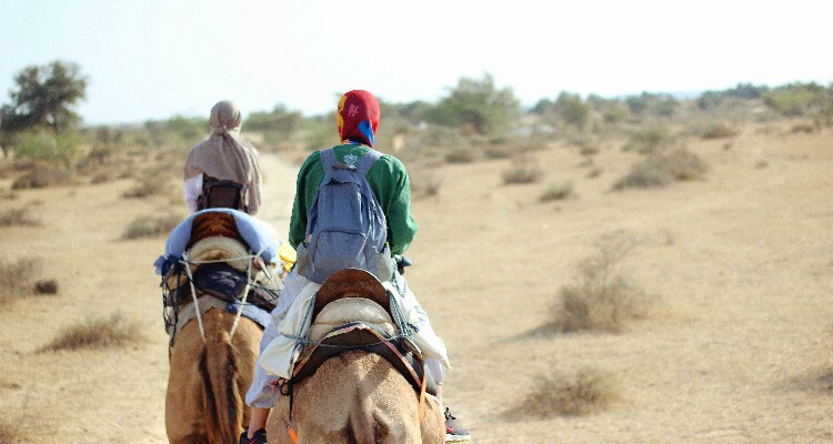 Montez à dos de chameau