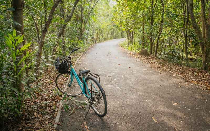 Best Cycling Routes around Shanghai