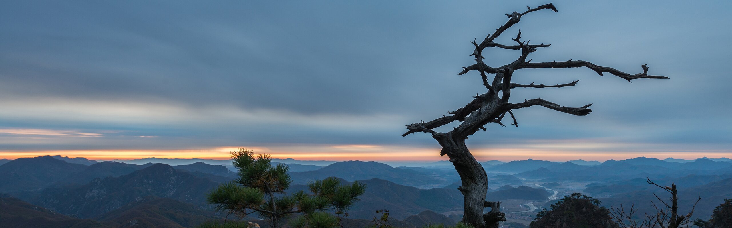 Zhangjiajie in June 2026: Guide of Rainy Weather and Crowds