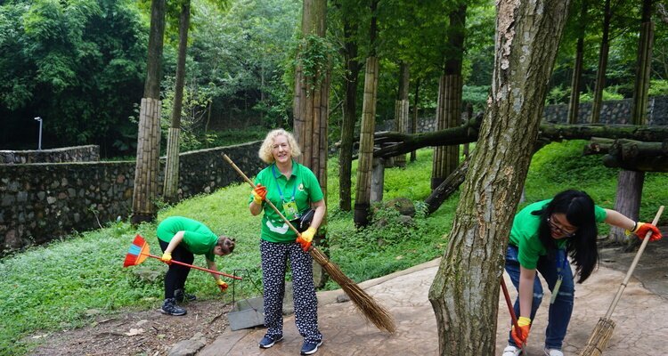 Volontari che puliscono l'habitat dei panda.