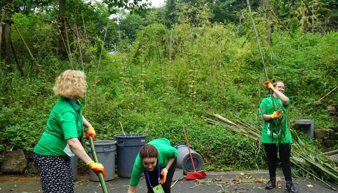 Base de recherche sur le panda géant
